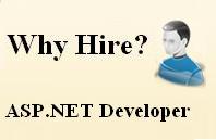 Why Hire ASP NET Programmer