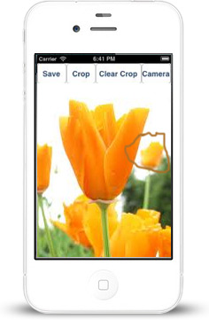 Image Cropping