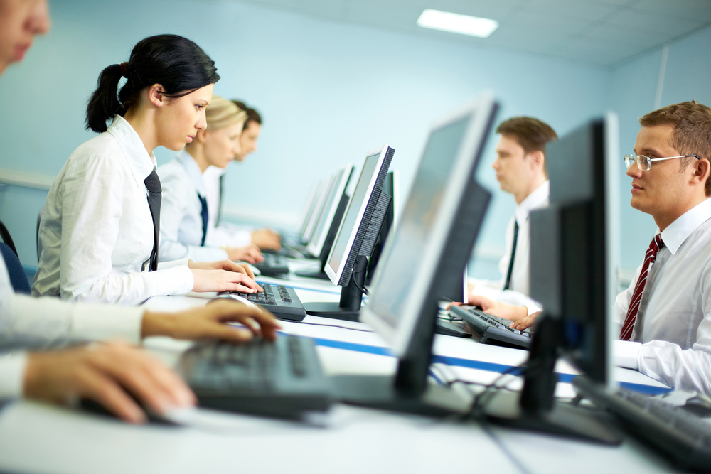 Issues in in-house software development