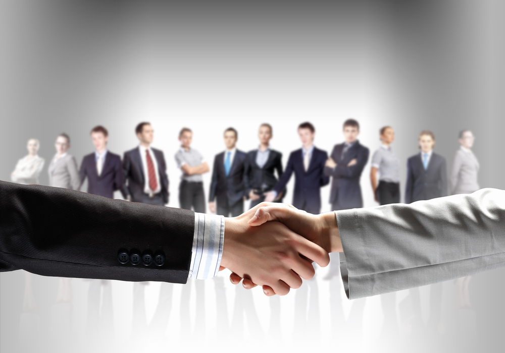Business Partnership with an IT Company